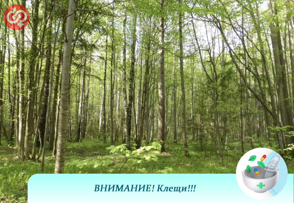 Внимание! Клещи!